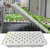 Plateau hydroponique de table d'inondation de serre d'agriculture verticale d'intérieur de nouvelle conception améliorée pour le système de culture hydroponique de serre