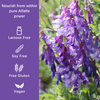 Capsules de concentré d'alfalfa de qualité supérieure, 60 unités, favorisent le métabolisme normal et la protection antioxydante