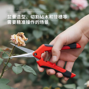 กรรไกรตัดแต่งกิ่งสแตนเลส เครื่องมือเก็บผลไม้ในสวน ใช้สำหรับมือขวา - Product Image 3