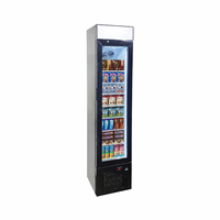 Congélateur vertical commercial Ne-105dl-12 Slim 105L avec porte vitrée et éclairage LED pour magasin de crèmes glacées et aliments surgelés