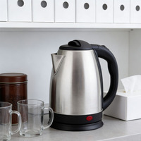 Bouilloires électriques portables en acier inoxydable pour la maison, appareils de cuisine, chauffe-eau rapide