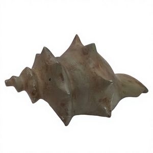 Escultura de concha de aluminio fundido, figurita decorativa de animales marinos, objeto y acento para decoración del hogar y la Oficina - Product Image 1