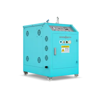 Mini Steam Generator Portable Steam Generator 2KW 3KW 4.5KW 6KW 9KW Steam Car Washer