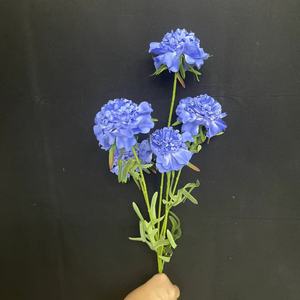 Soportes <span class=keywords><strong>de</strong></span> decoración <span class=keywords><strong>de</strong></span> flores <span class=keywords><strong>de</strong></span> boda artificiales realistas hechos a mano <span class=keywords><strong>de</strong></span> 70CM Scabiosa Atropurpurea Pine Worm Grassflowers decoración <span class=keywords><strong>de</strong></span> boda - Product Image 2