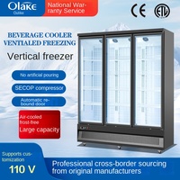 Réfrigérateur commercial vertical à triple porte, basse température, style Hema, refroidi par air, sans givre, ventilé, pour congélation et refroidissement