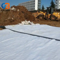 Revestimiento de Arcilla Geosintética Bentonita (GCL), Manta Impermeable para Vertederos, Estanques y Embalses