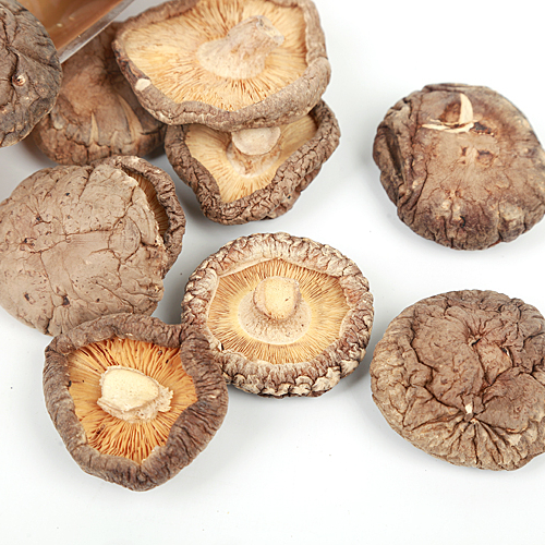 Цветочный гриб