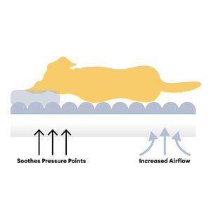 Cama para <span class=keywords><strong>Perro</strong></span> Tipo Sofá, Lavable, Acogedora y Suave, Estilo Vaquero - Product Image 5