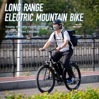 Vélo électrique Chamrider DM427 avec moteur de moyeu arrière sans balais, batterie au lithium 48V 27Ah, cadre en alliage d'aluminium, livraison de vélos électriques