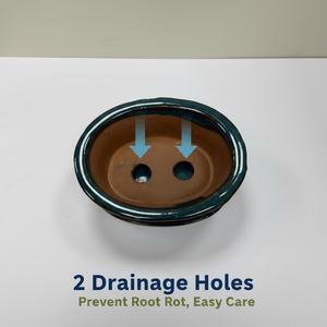 Maceta de Cerámica para Bonsái, Pequeña, Multi-Estilo, con Acabado Azul, Duradera, Ecológica, para Uso en Interiores y Exteriores - Product Image 4