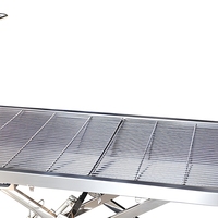 Table chirurgicale vétérinaire électrique mini et grande, en acier inoxydable, hauteur réglable, filtre détachable, commande manuelle, pour clinique vétérinaire