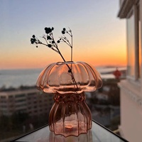 Vente en gros de best-seller vase champignon coloré en verre borosilicate vases à fleurs en verre bombé décoration maison