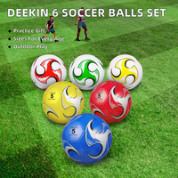 Ensemble de 6 ballons de football en PVC taille 5, cousus à la machine, pour entraînement adulte, vente en gros d'usine, personnalisable