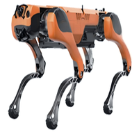 Châssis de robot quadrupède tout-terrain pour inspection industrielle TIGER-04