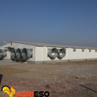 Ventilador de Extracción Cónico Industrial para Aves de Corral, Ventilador de Acero Galvanizado para Ventilación, Jaulas de FRP para Pollos de Engorde y Cría en Suelo
