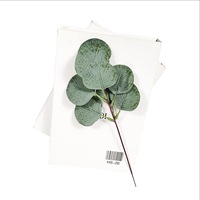 Plante Artificielle Feuille d'Eucalyptus Style Forêt pour Bouquet de Mariage, Décoration Florale de Fond de Salle de Mariage, Plante Verte