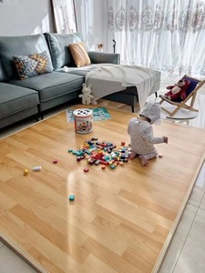 Tappetino Riscaldante Elettrico per Interni Rivestimento in PVC Spesso Morbido e Confortevole Tappeto per Riscaldamento Pavimenti Riscaldamento Rapido Protezione di Sicurezza per Casa - Product Image 1