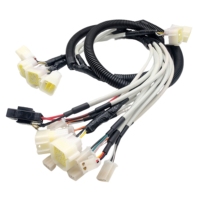 Arnés de Cables Personalizado para Automóviles, Arnés de Cables para Automóviles con Conector MOLEX, Fábrica Certificada IATF 16949
