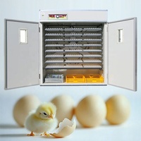 Incubateur de poulets entièrement automatique à haute productivité, taux d'éclosion de 98 %, 110/220 V, pour usage agricole (émeu, oie, autruche, canard)