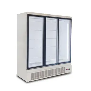 -18 ~ -22 2 3 Gran puerta de vidrio vertical profundo refrigerador congelador para restaurante, supermercado llevó la iluminación