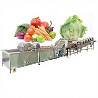 Wortelen Aardappelen Reiniging Belletjes Fruit Groente Wasmachine Motor RVS Industrieel Gebruik Ultrasone Reiniger