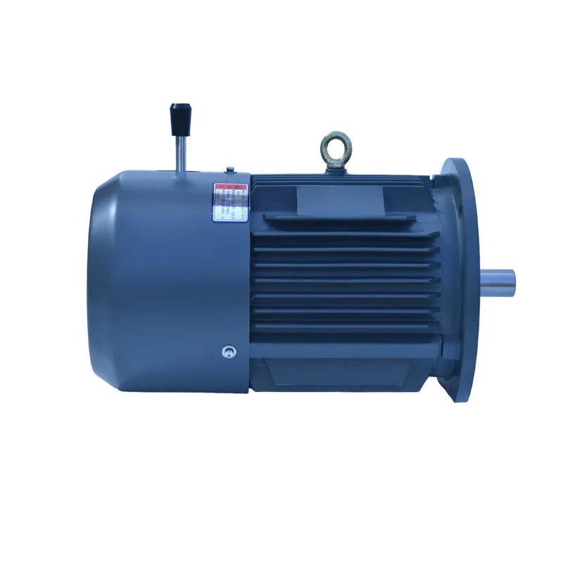 55KW/75HP Low Rpm High Torque three phase AC induction Motor