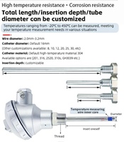 Sonde de température WZP231 PT100 RTD, capteur PT1000, filetage NPT 1/2', thermocouple, 200 ~ 420 degrés, classe A, Heraeu-s, Allemagne
