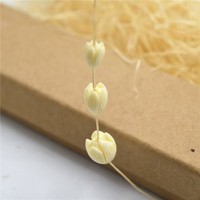 Korallenmuschel-Pulver Geprägte 8 * 11mm Milchweiße Magnolien-, Wildrosen- und Tulpenperlen für Armbänder und Haarspangen-Zubehör