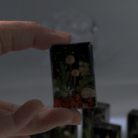 Serre-livres en résine de fleurs naturelles séchées style Mori, thème forêt, phosphorescents, cadeau créatif artisanal