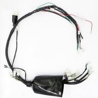 JINLING-Harnais de câbles électriques pour VTT, quad, câble pour systèmes électriques de moto, JLA-21B