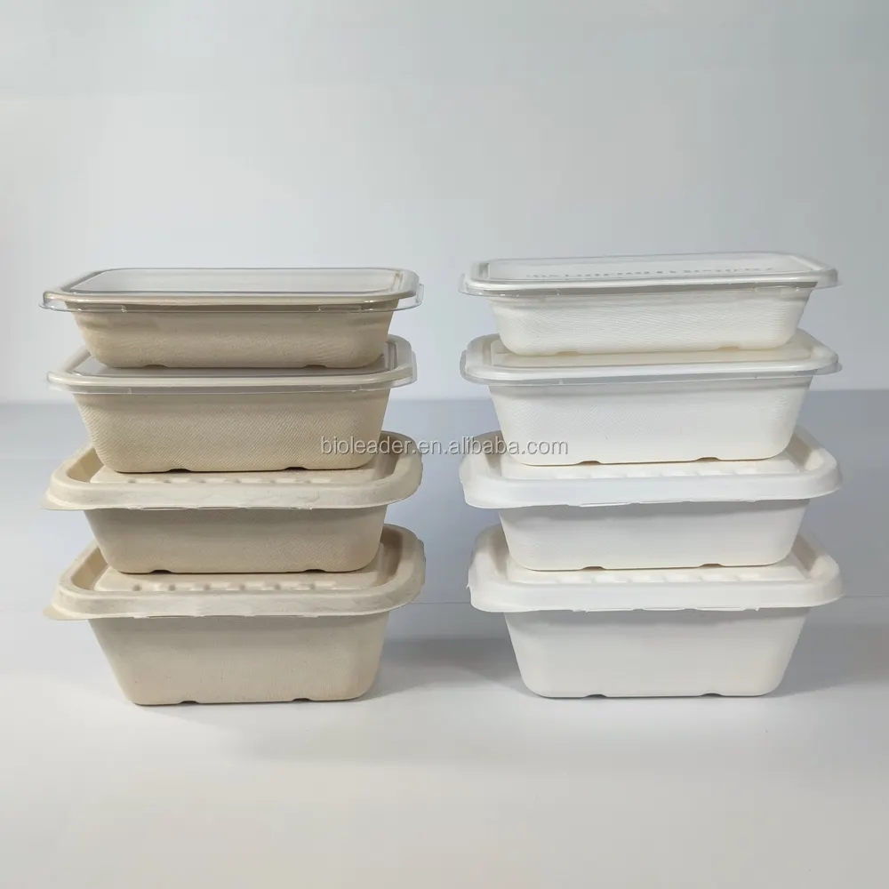 Bandeja de alimento de polpa, caixa de almoço com tampa de sugarcante biodegradável, fibra de bambu, bolo, caixa de sanduíche de impressão de tela