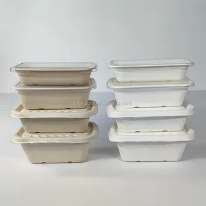 Pulp Voedsel Dienblad Suikerriet Bagasse Lunchdoos Met Deksel Biologisch Afbreekbaar Suikerriet Bamboe Vezel Cakebox Zeefdruk Sandwich Doos