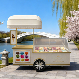 Chariot de présentation de glaces et de gelatos Push Popsicle avec vitrine congélateur à économie d'énergie - Product Image 1