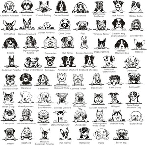 ป้ายชื่อสุนัขแบบกำหนดเอง 1 ชิ้น ป้ายชื่อสัตว์เลี้ยง ป้ายชื่อสุนัขสแตนเลสทรงกลม ป้าย ID สำหรับลูกสุนัข จัดส่งแบบดรอปชิปปิ้ง - Product Image 5