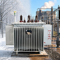 Transformador de Distribución Sumergido en Aceite de 10kV 80kVA de Bajo Ruido y Sellado Herméticamente para Uso Industrial, Ahorro de Energía
