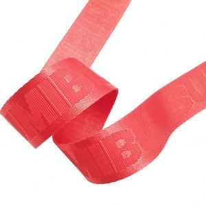 Custom Nylon Polyester <b>Webbing</b> for Garments Shoes Bags Band Storage Basket and Car Seat Belt - Product Image 3