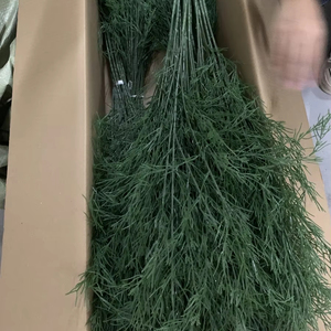 Offre Spéciale plante artificielle branche verte tiges de verdure artificielle feuilles vertes feuilles de saule pour arrangement floral de mariage - Product Image 1