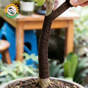 ผ้าพันต้นไม้เอนกประสงค์ Garden Bee แบบไม่ทอ สำหรับพันต้นไม้ในฤดูหนาว ยืดหยุ่น นุ่ม ใช้เป็นสายรัดพยุงต้นไม้ พร้อมเทปยึดติด - Product Image 2