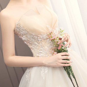 Strapless Champagne Ball Gown Wedding Dress With Embroidery Floral Print Empire Waistline Chiffon Train - Product Image 4