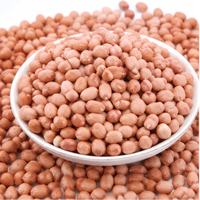 Arachides brutes en gros, noyaux d'arachides naturels, fournisseur en vrac pour la transformation alimentaire, fournisseur OEM en gros de Chine