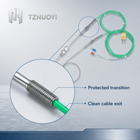 Thermocouple de type K WRNK-191, sonde Inconel 600 avec câble PTFE vert, capteur haute température OEM IP65