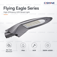 Lampadaire LED extérieur étanche Cishine 30W 60W 80W 90W 120W 150W 180W IP66 en aluminium moulé sous pression pour routes urbaines, parcs et places publiques