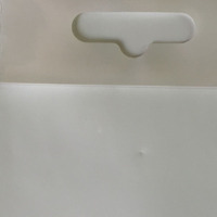 Sacs en plastique polypropylène transparents personnalisés avec impression en héliogravure BOPP, bande blanche, trou de suspension et fermeture auto-adhésive