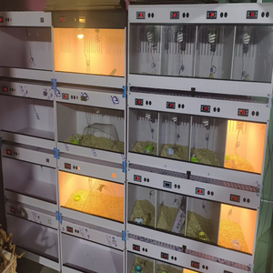 Vetrina per Rettili, Espositori per Allevamento Rettili, Terrario per Rettili, Terrario per Gechi, Gabbia per Rettili - Product Image 6