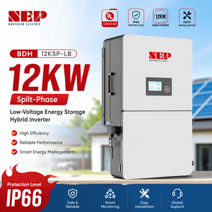 ระบบโซลาร์ไฮบริด NEP ประสิทธิภาพสูง ขนาด 8kW 10kW 12kW พร้อมแบตเตอรี่ลิเธียม-ไอออน/ตะกั่ว-กรด  ระดับการป้องกัน IP66 สำหรับบ้าน  คุ้มค่าคุ้มราคา - Product Image 1