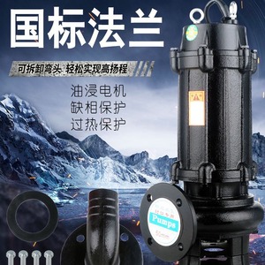 Wq Series Flange <b>Pump</b> 50mm Electric Water <b>Pump</b> For Home Agricultural Drainage Sewage - Product Image 1