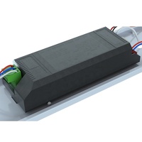 Lumière linéaire à double tube rechargeable d'urgence CE 36W, luminaire LED à vapeur