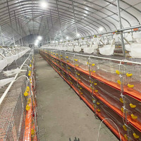 Cage à cailles empilée à 6 niveaux avec système d'alimentation et d'abreuvement automatiques, cage à batterie pour cailles pondeuses pour ferme commerciale