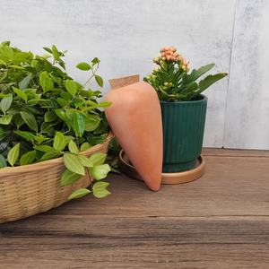 Usine en gros personnalisé <span class=keywords><strong>terre</strong></span> <span class=keywords><strong>cuite</strong></span> argile Olla Pot eau Irrigation planteur pour jardin pépinière utiliser avec des pointes de fleurs - Product Image 5