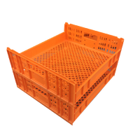 Plateau de rangement en plastique PE maillé 550x480x170mm pour pain et biscuits, prix avantageux